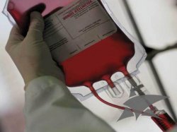 МОЛОДЕЖНЫЕ ОБЪЕДИНЕНИЯ КЫЗЫЛОРДЫ ОРГАНИЗОВАЛИ АКЦИЮ «МЫ – ДОНОРЫ!»