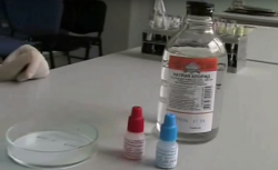 Определение группы крови с помощью цоликлонов