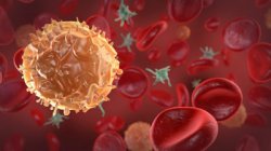 Из чего состоит кровь?