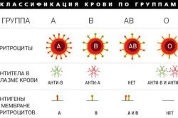 Может ли меняться группа крови?